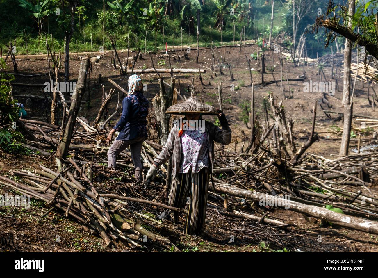 Bogor, Indonesien - 05. August 2023: Die Bauern nutzen die alte Methode des Schrägstrichs und Verbrennens, um ihr landwirtschaftliches Land in Bogor, West-Java, zu säubern Stockfoto