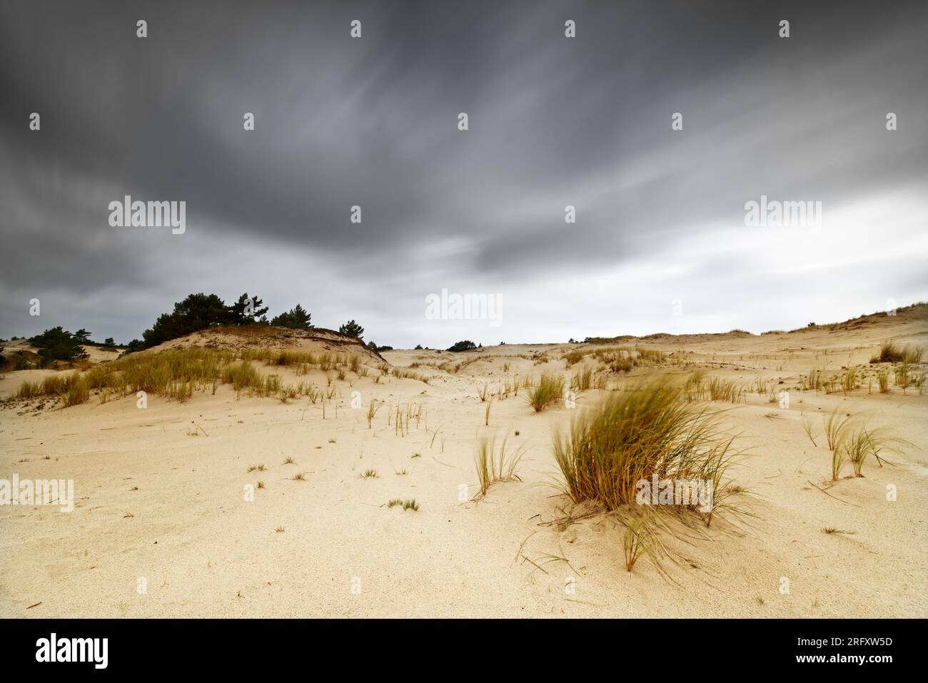 Sandige Gegend mit Dünen, die mit einzelnen Grasfüßen und Büschen überwuchert sind, Wolkenbewegungsspuren bei langfristiger Exposition, Tiefeneffekt - Ort: Polen Stockfoto