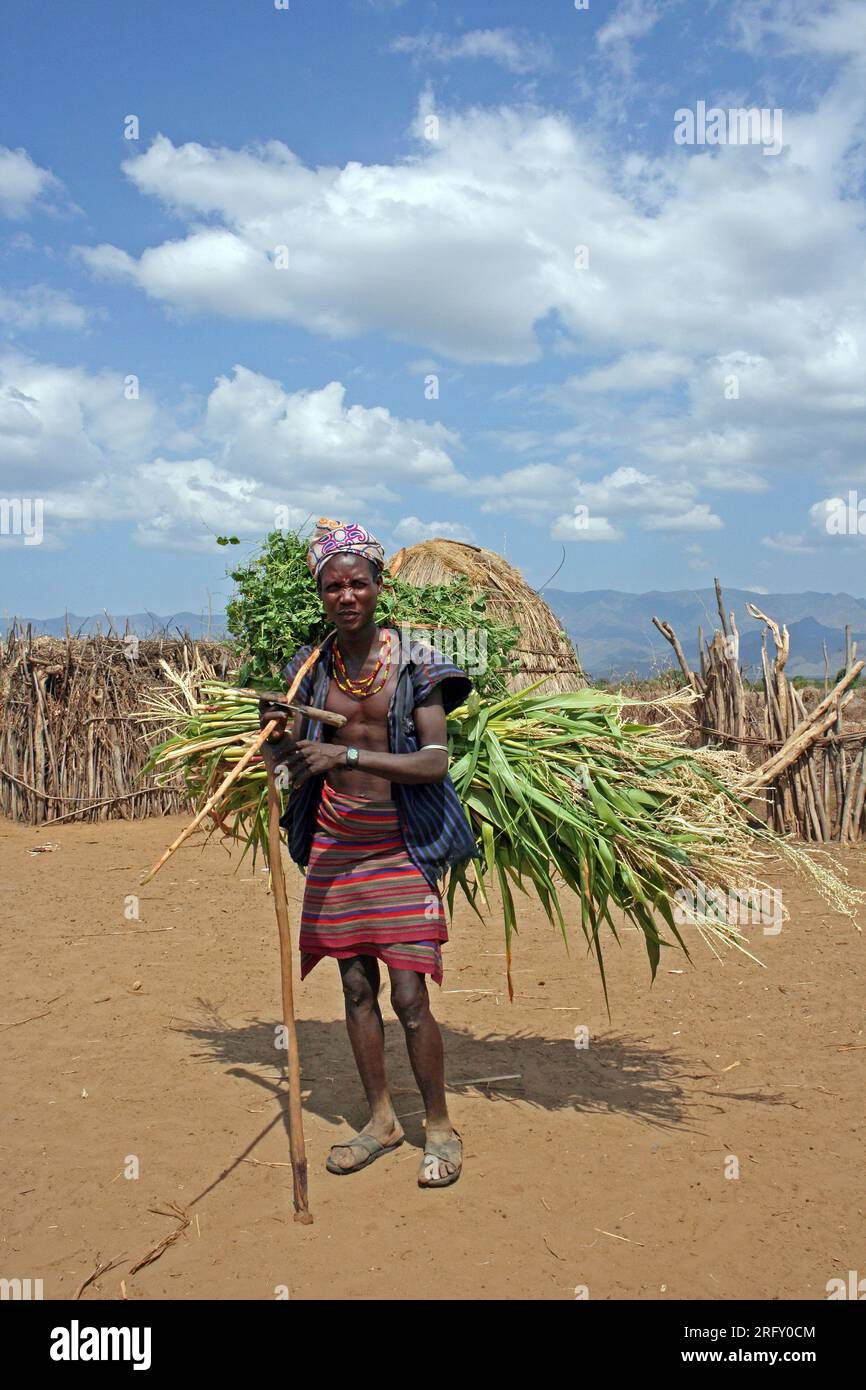Arbore Tribe Man Trägt Getreide Stockfoto