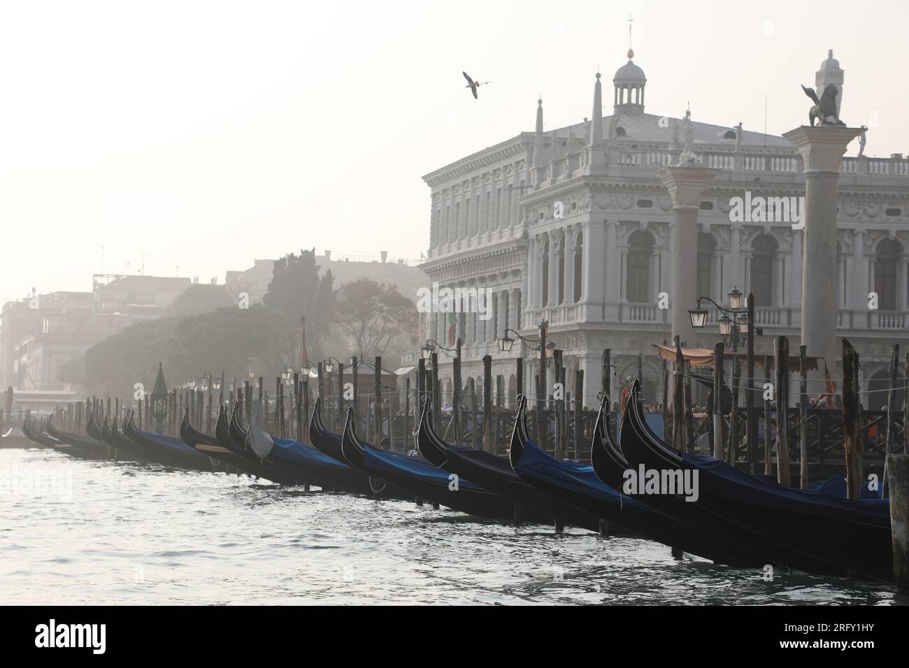 Gondelreihe vor dem Dogenpalast (Palazzo Ducale) in Venedig, Italien an einem trüben Tag, vom Wasser aus gesehen, Bacino di San Marco Stockfoto