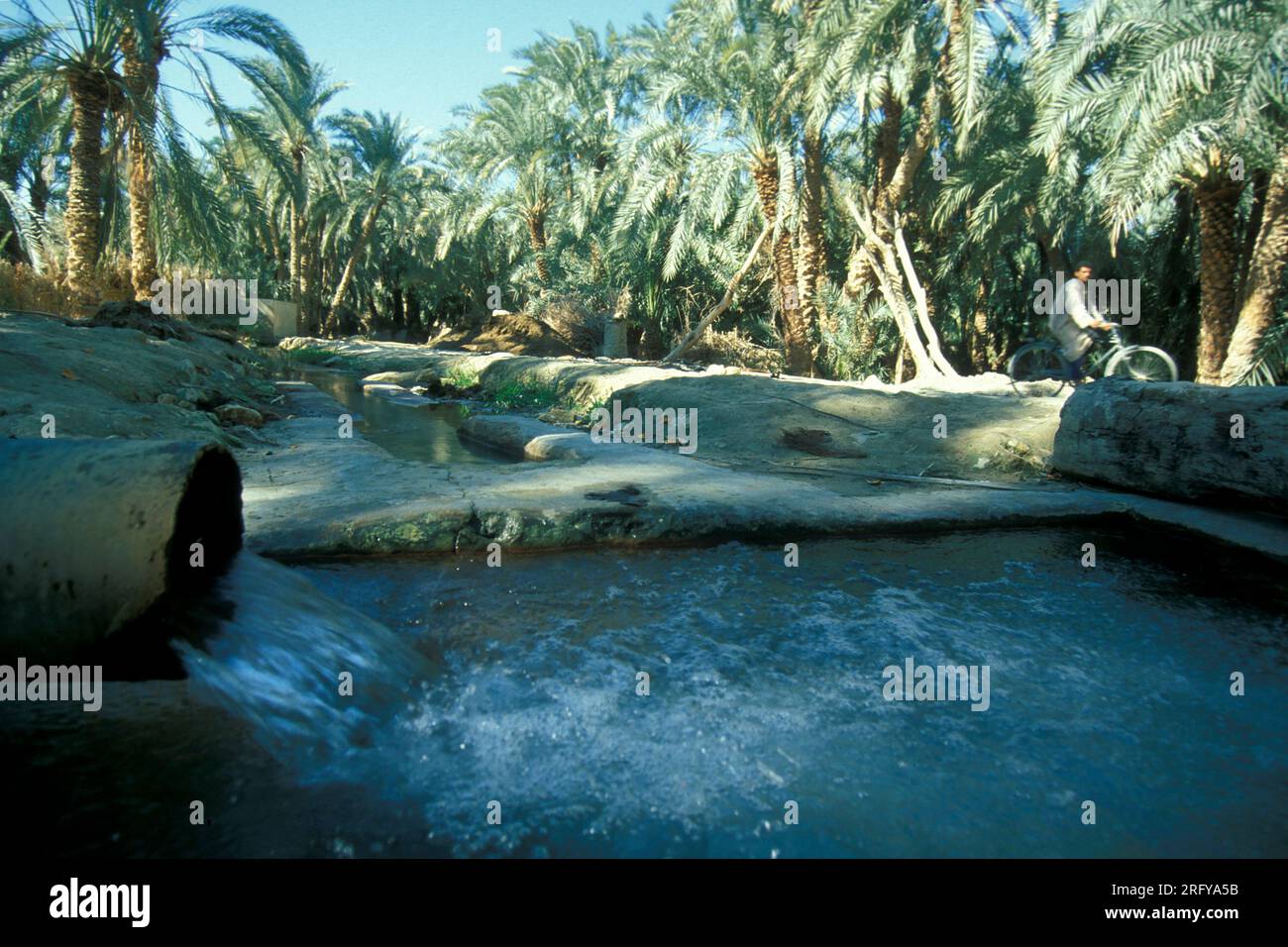 Eine Süßwasserquelle im alten Dorf Siwa in der libyschen oder ägyptischen Esterwüste in Nordafrika. Ägypten, Siwa, März 2000 Stockfoto