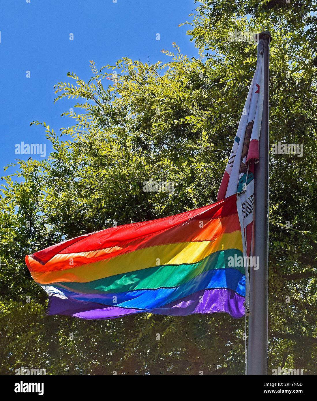 LGBTQ-Flagge in einer Stadt in Alameda County, Kalifornien Stockfoto