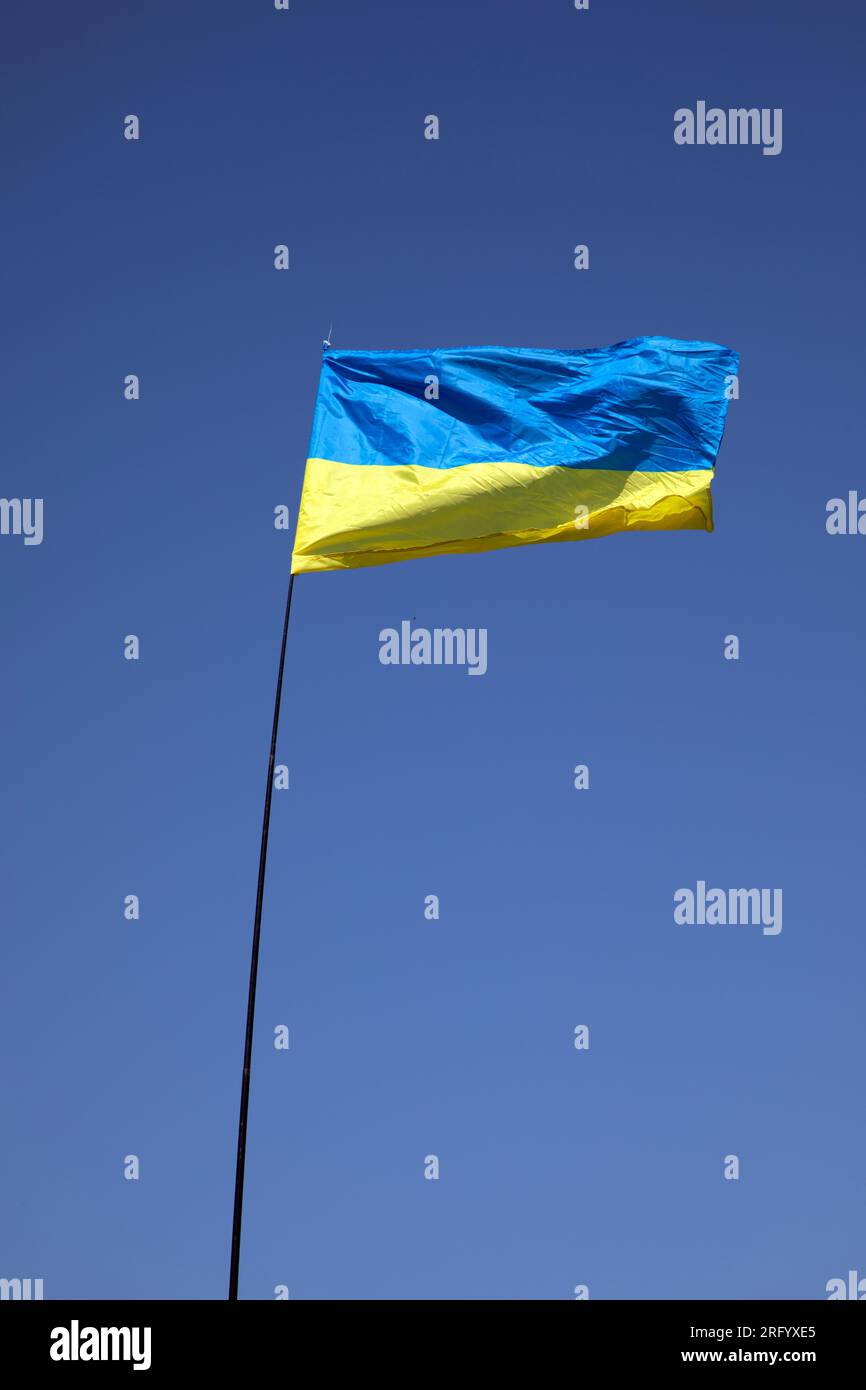 Die ukrainische Flagge auf einer Fahnenstange flattert in der Brise gegen einen blauen Himmel. Stockfoto