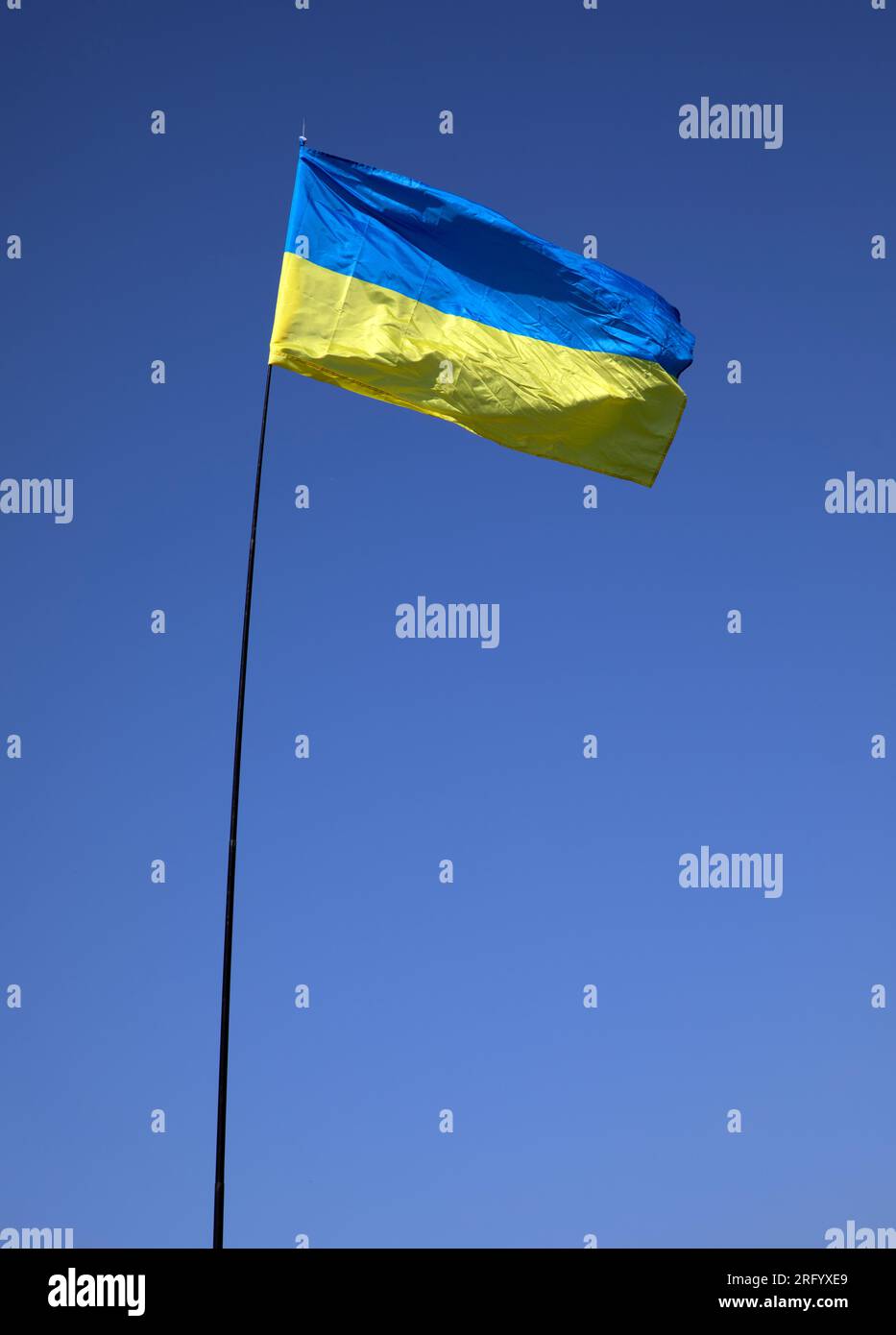 Die ukrainische Flagge auf einer Fahnenstange flattert in der Brise gegen einen blauen Himmel. Stockfoto