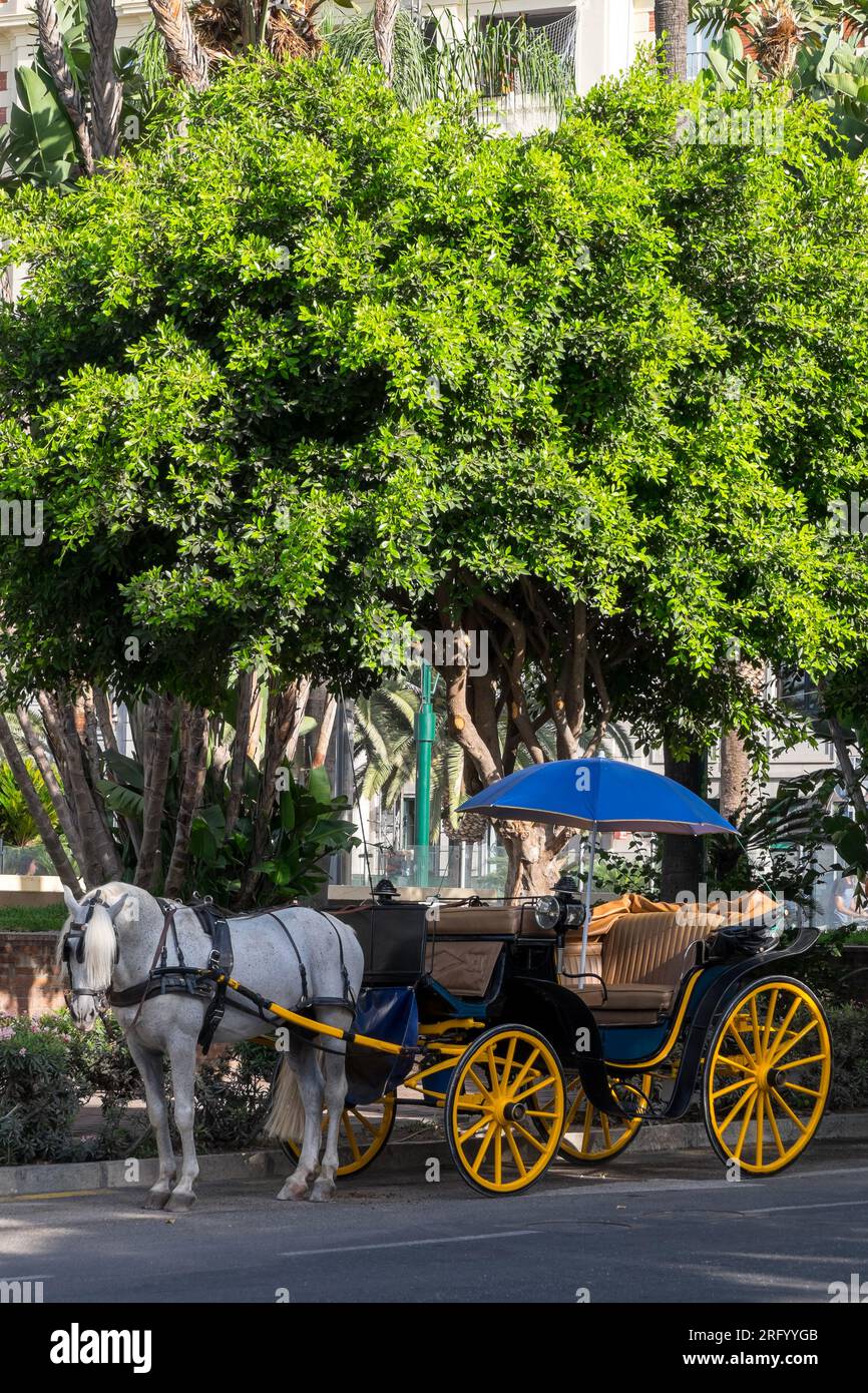 Pferdekutsche im Stadtzentrum von Malaga, Spanien Stockfoto