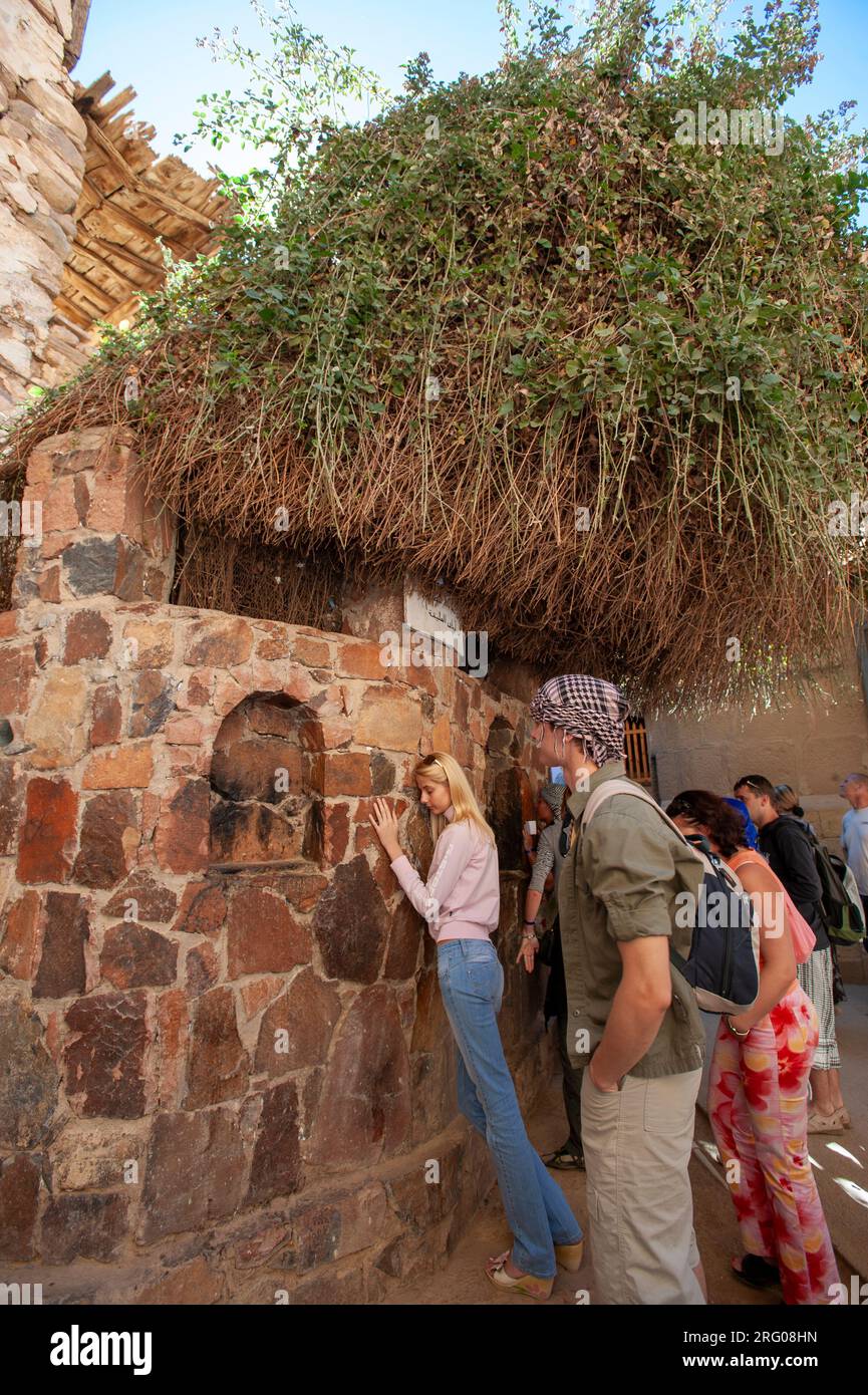 Afrika, Ägypten, Sinai-Halbinsel. Die Leute ehren den brennenden Busch in St. Katharinenkloster, ein griechisch-orthodoxes Kloster in der Nähe des Mount Sinai. Stockfoto