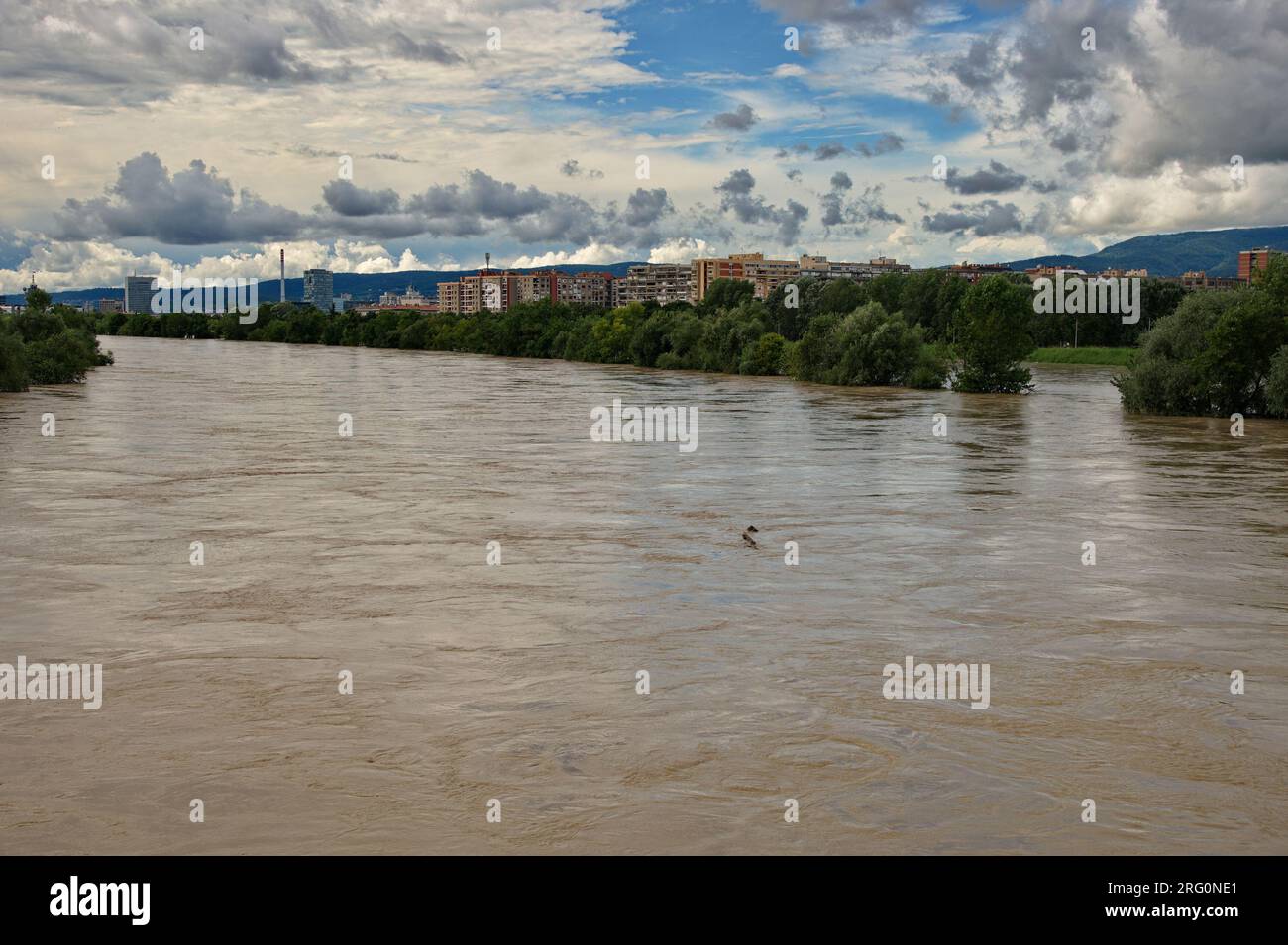 Das hohe und schnelle Wasser des Flusses Sava erhebt sich in der Stadt Zagreb Stockfoto