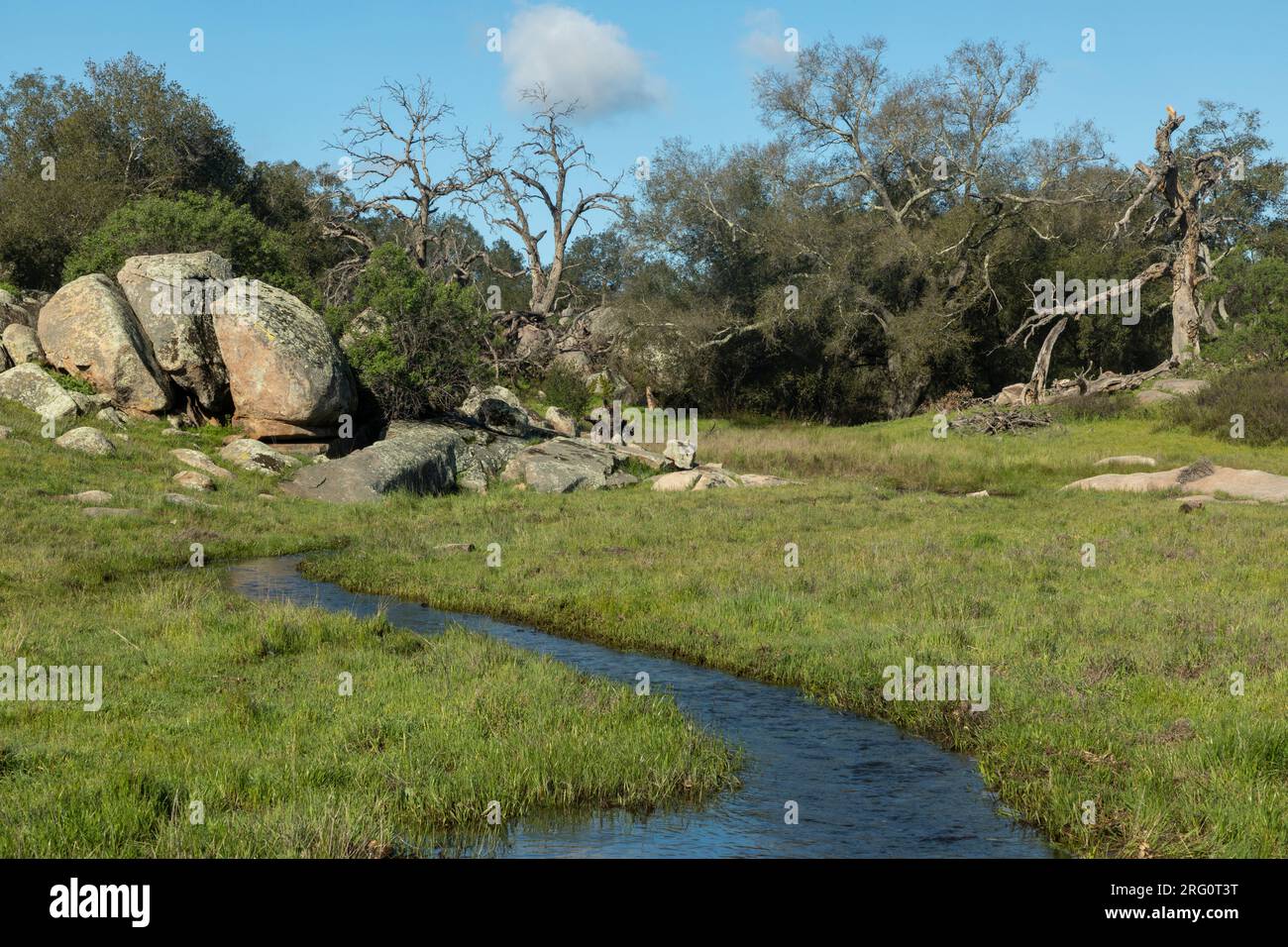 Malerische Gebiete im Ramona Grasslands Natural Preserve, Ramona, Kalifornien Stockfoto