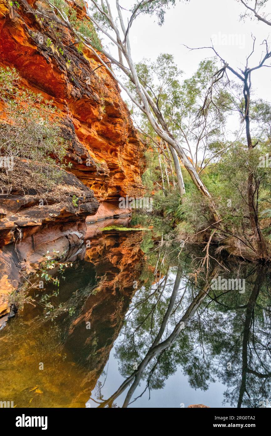Kings Canyon Waterhole im Garden of Eden mit Blick nach Norden entlang Kings Creek. Watarrka-Nationalpark, Northern Territory, Australien Stockfoto