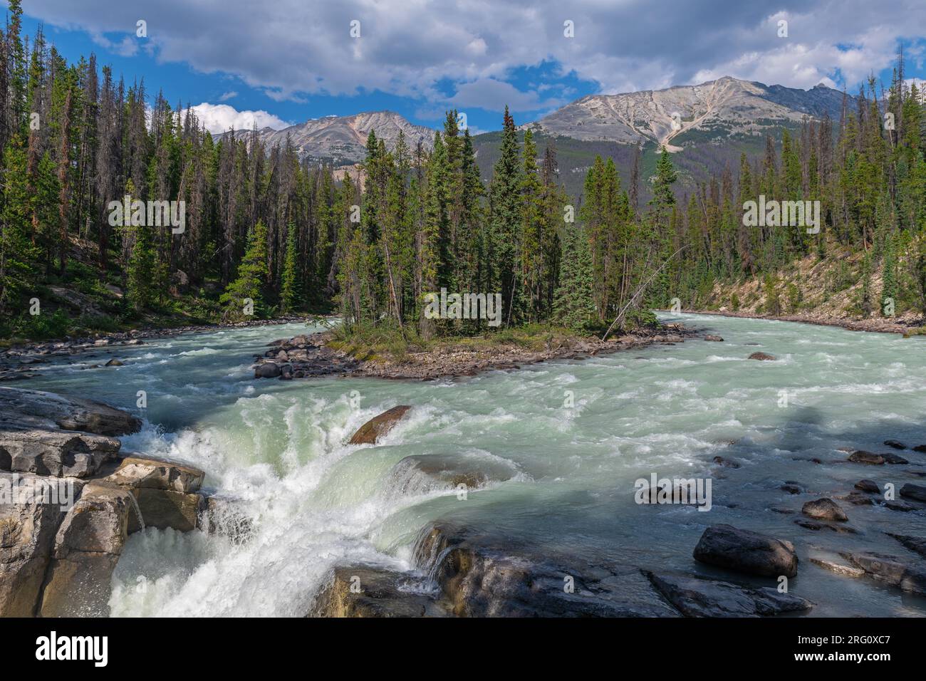 Sunwapta Falls und Athabasca River, Jasper-Nationalpark, Alberta, Kanada. Stockfoto