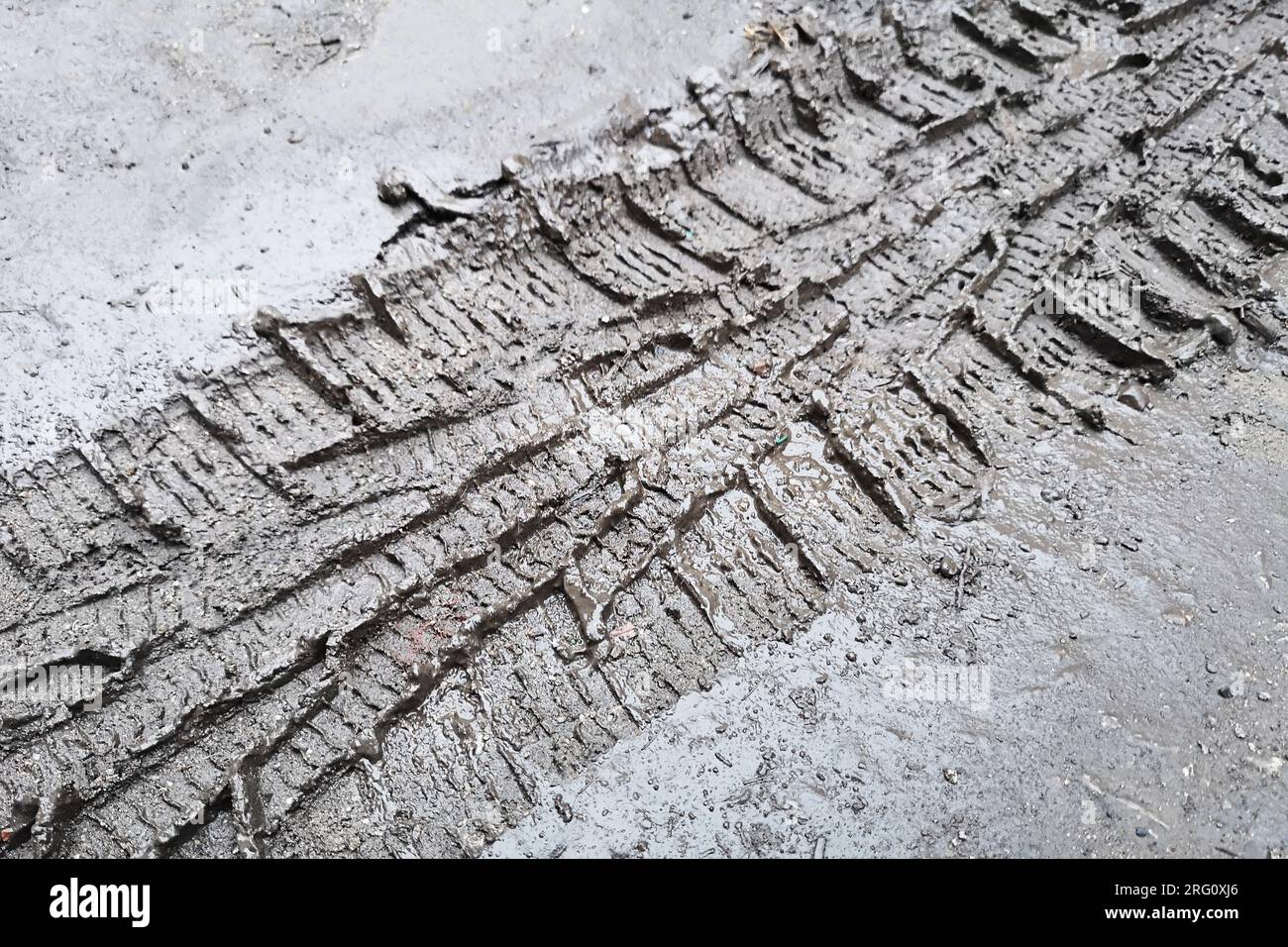 Spuren des Reifenprofils eines Autos auf einer unbefestigten Straße. Spuren von Autoreifen im Schlamm Stockfoto