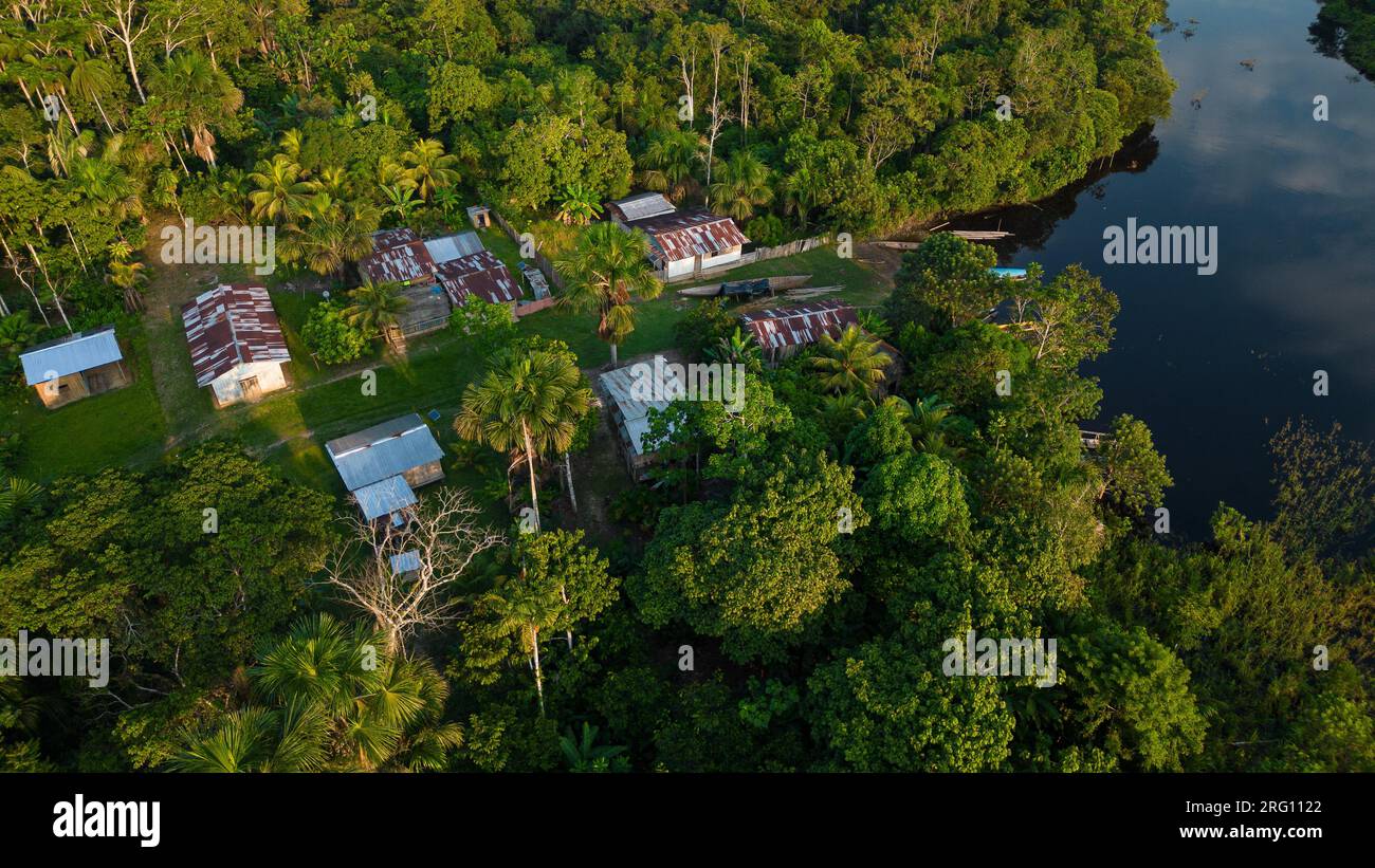 AMAZONAS TROPISCHER DSCHUNGEL, GRÜNE BÄUME Stockfoto