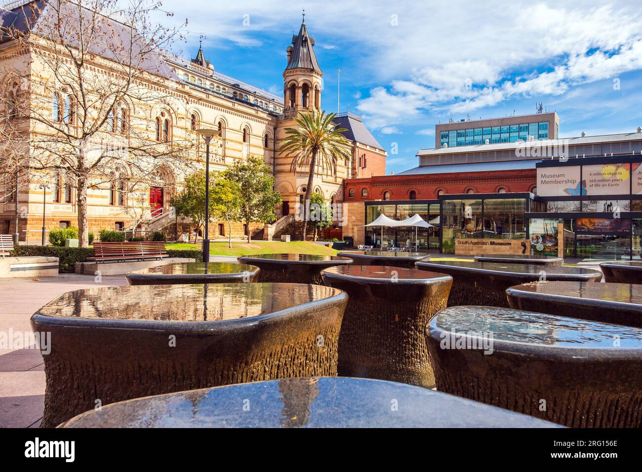 Adelaide, Australien - 2. September 2019: Südaustralisches Museum mit berühmten Brunnen an der Vorderseite, von der North Terrace im zentralen Geschäftsviertel von Adelaide aus gesehen Stockfoto
