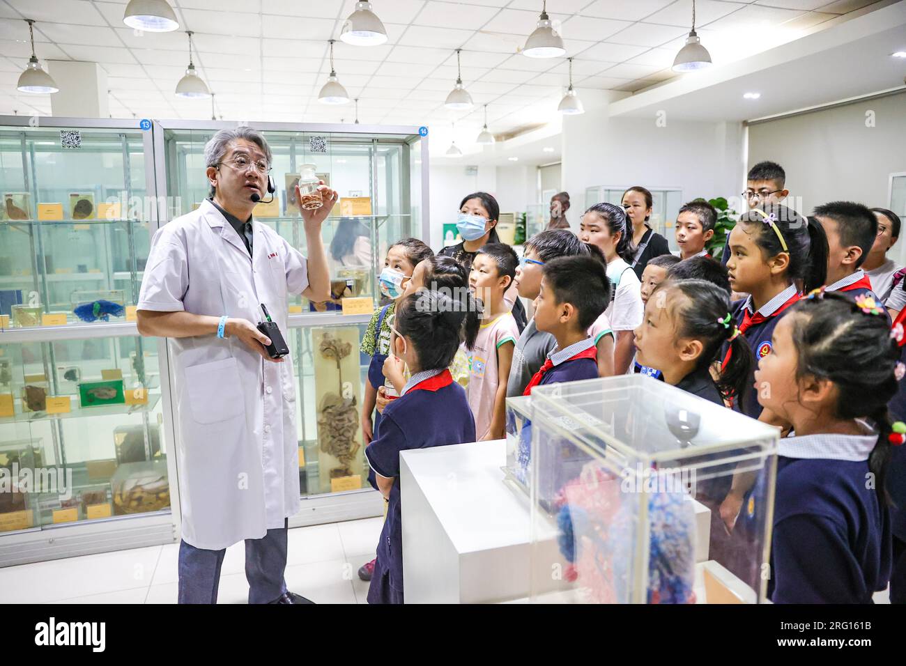 Während der Sommerferien in Shenyang City, Nordostchina's Liaoning Province, 4. August 2023 erlernen die Studenten im Museum für Humanwissenschaften ihr Wissen. (Foto: ChinaImages/Sipa USA) Guthaben: SIPA US/Alamy Live News Stockfoto