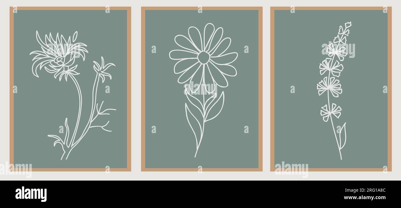 Satz von abstrakten botanischen Vektorzeichnungen Stock Vektor