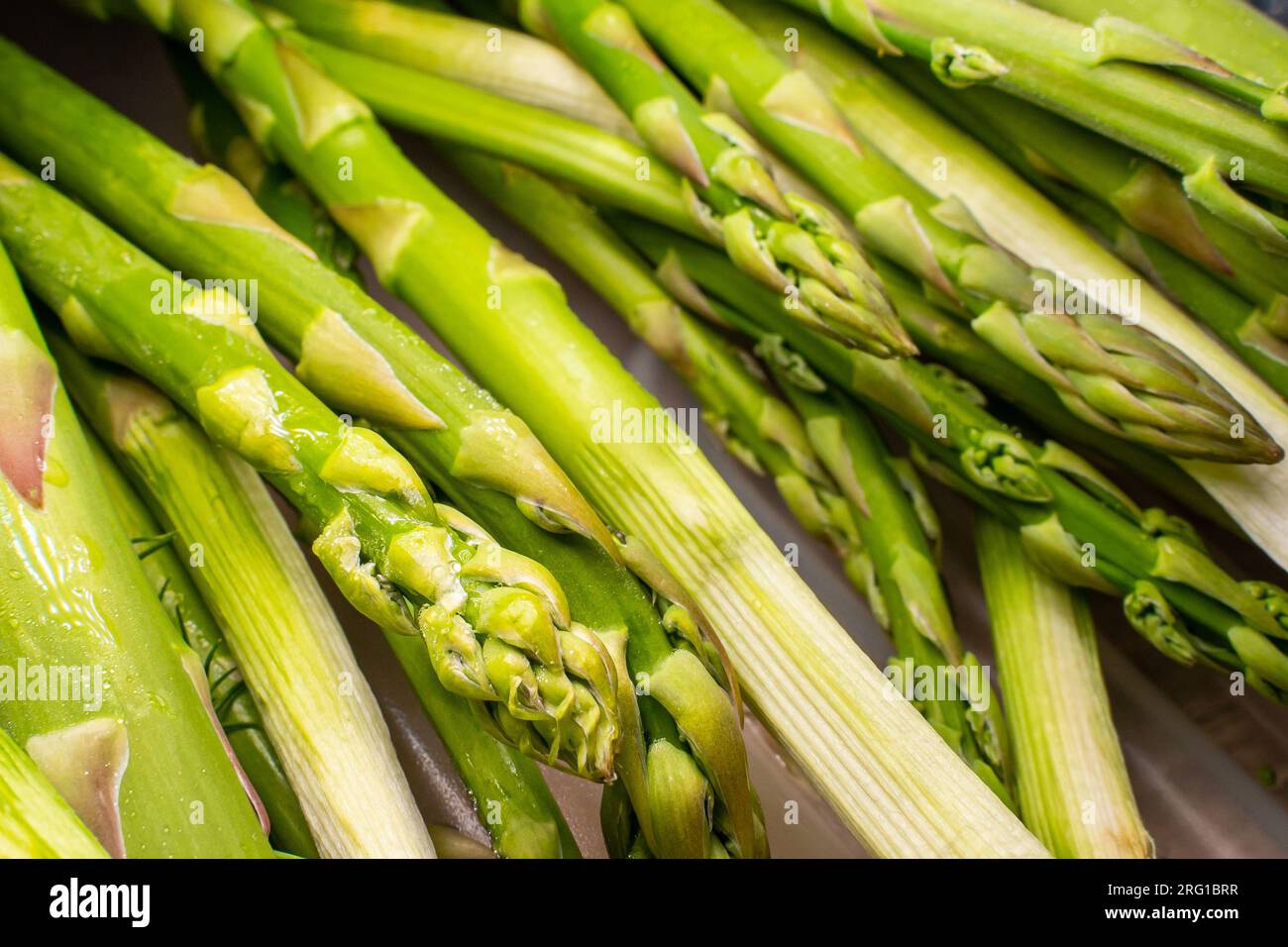Aufnahmen von grünem Spargel in Wassertropfen aus nächster Nähe Stockfoto