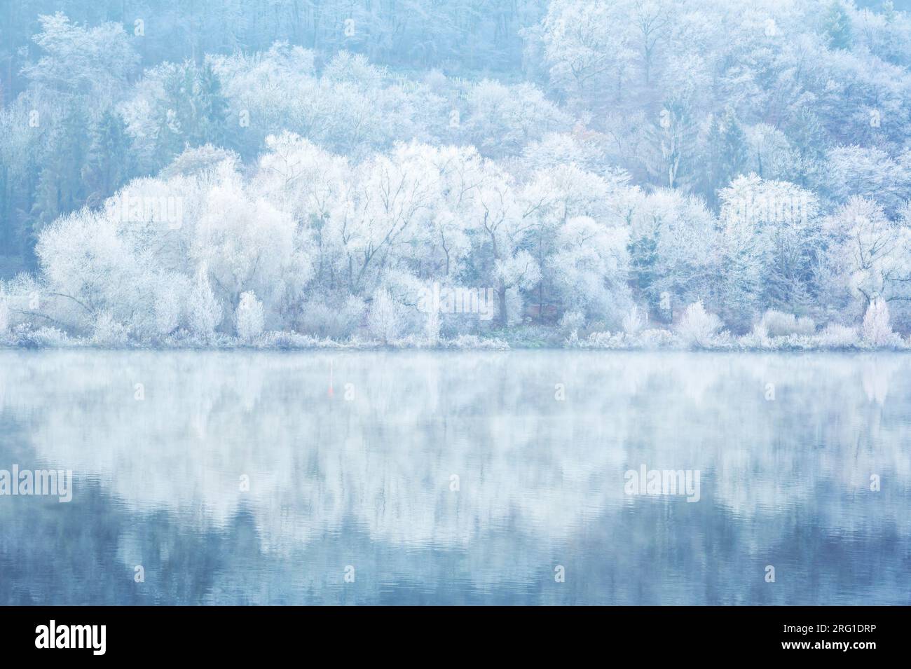 Eisbedeckte Bäume am Ufer des Moesels mit Reflexionen im Wasser, Deutschland. Stockfoto