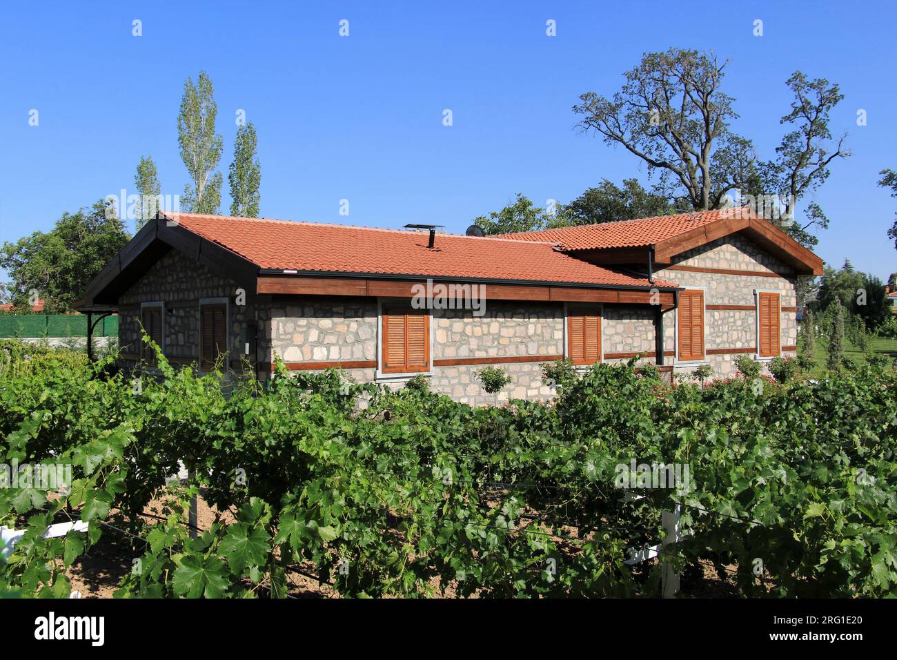 Ein restauriertes traditionelles Bauernhaus im Meram-Viertel von Konya. Es gibt Weinreben im Garten des Hauses. Stockfoto