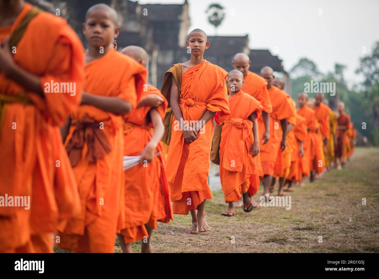 Große Gruppe von buddhistischen Mönchen während der Feier der Visak Bochea am Tempel Angkor Wat, Siem Reap, Kambodscha. Stockfoto