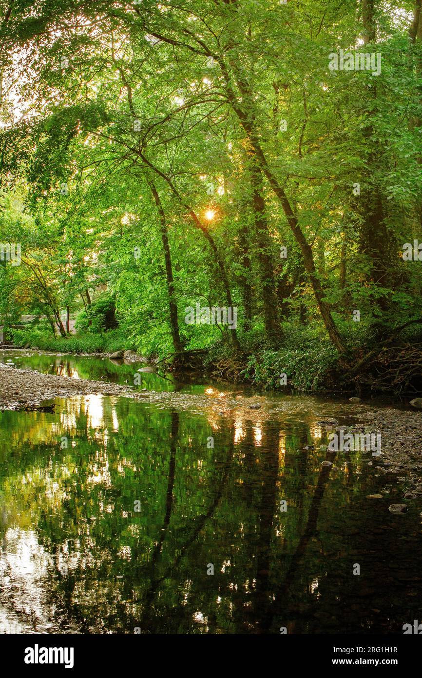 Ein Sonnenschein scheint durch Bäume am Flussufer und reflektiert auf dem Wasser Stockfoto
