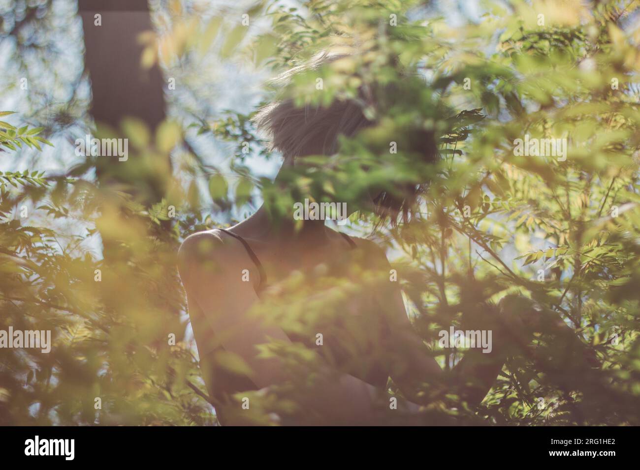 Silhouette eines jungen Mädchens hinter einem Baum an einem Sommertag Stockfoto