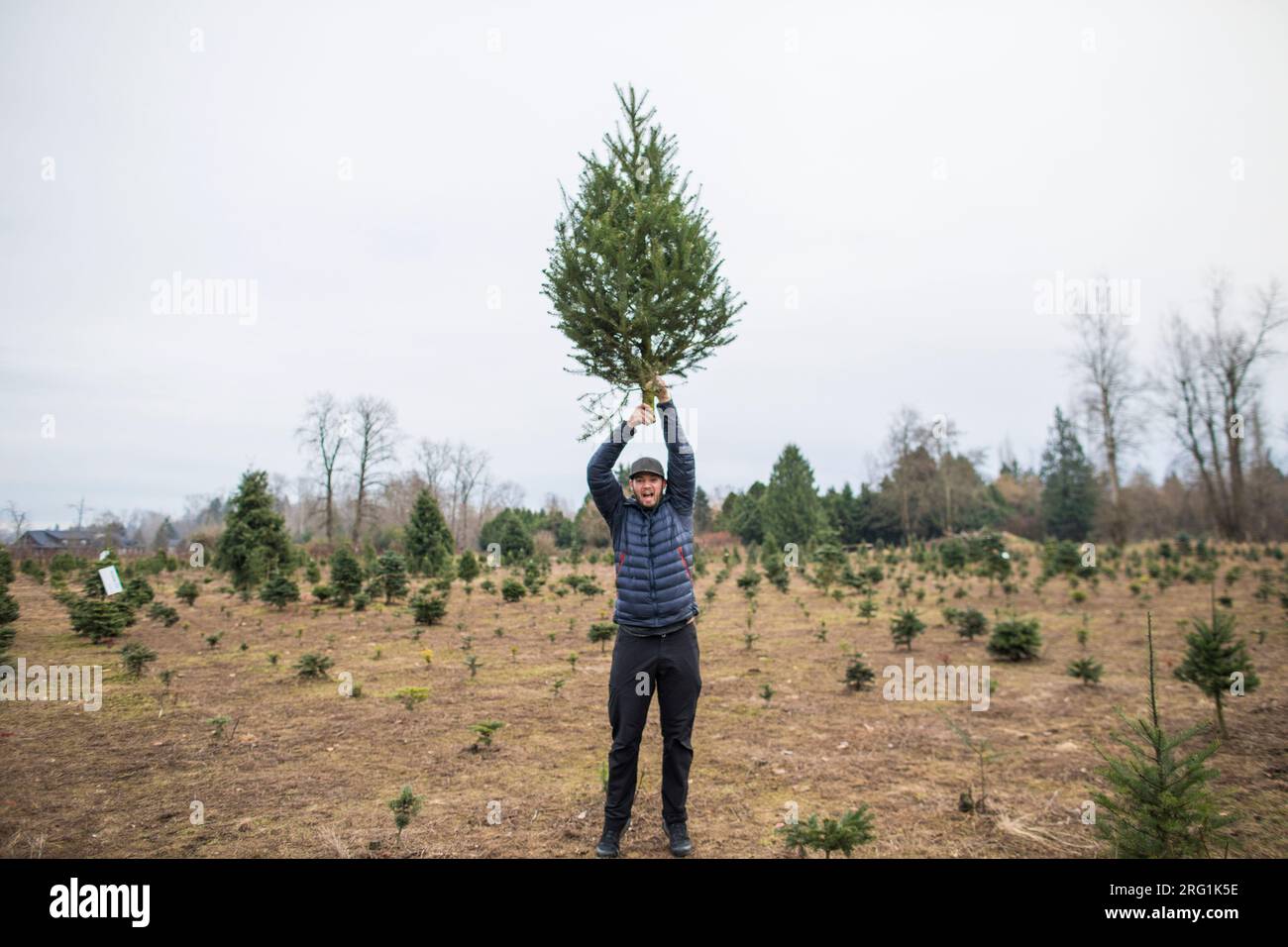 Ein Mann hält den Weihnachtsbaum über dem Kopf auf der Bauernhof Stockfoto