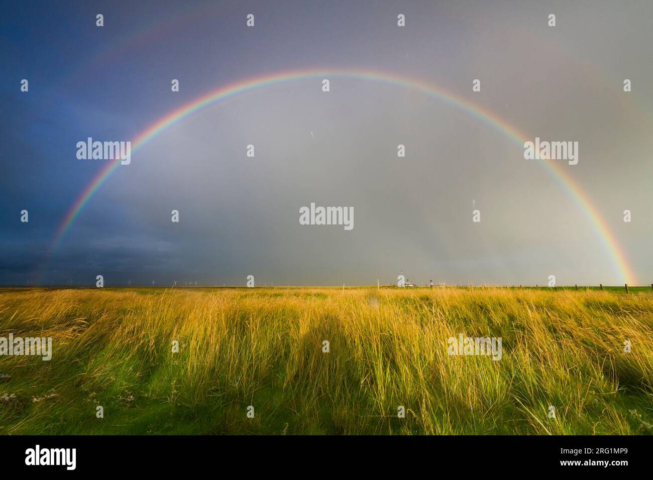 Regenbogen über dem Wattenmeer Insel Hamburger Hallig in Deutschland. Stockfoto
