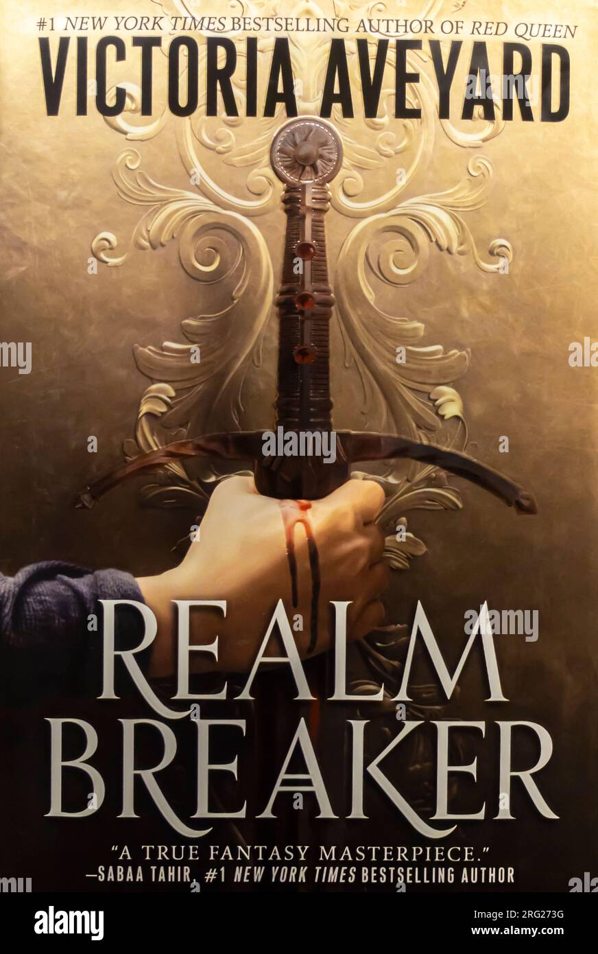 Realm Breaker Buch von Victoria Aveyard 2021 Stockfoto