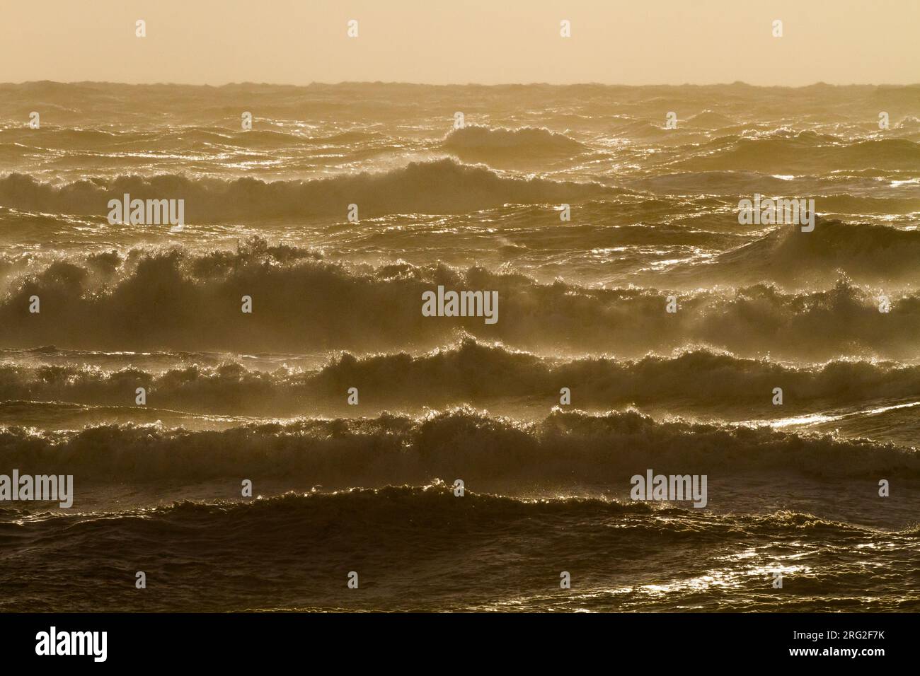 Sonnenuntergang über dem Sturm Nordsee mit großen Wellen und Brandung Stockfoto