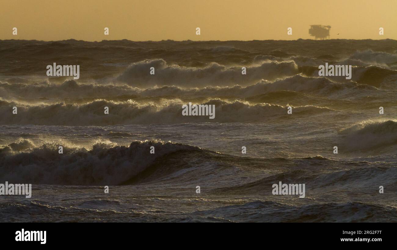 Sonnenuntergang über dem Sturm Nordsee mit großen Wellen und Brandung Stockfoto