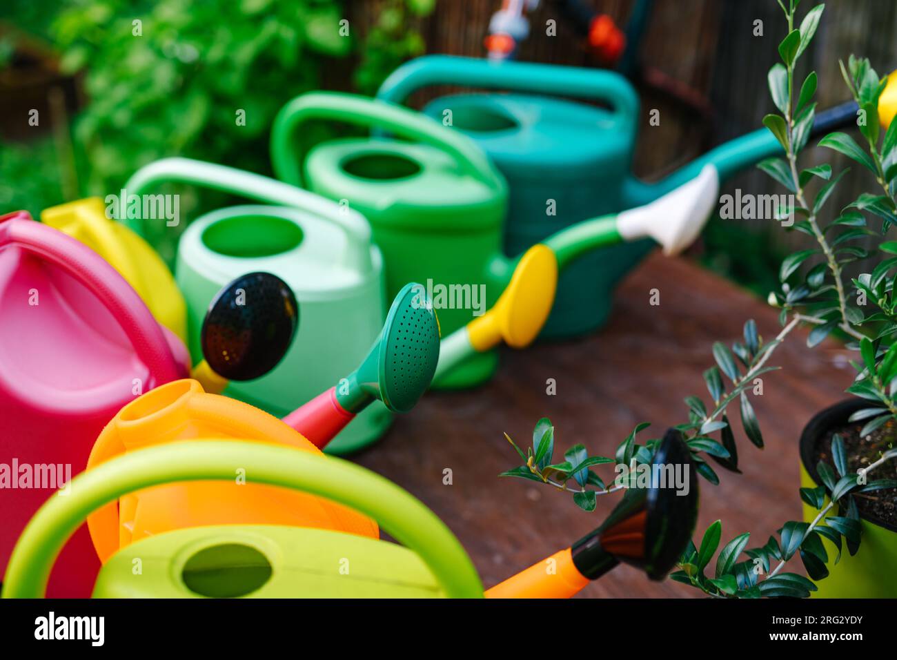 Bunte Gießdosen im Garten Stockfoto