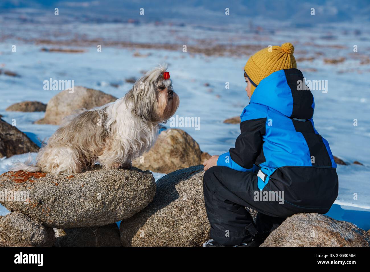 Kind mit Shih-Tzu-Hund, der sich im Winter im Hintergrund anschaut Stockfoto