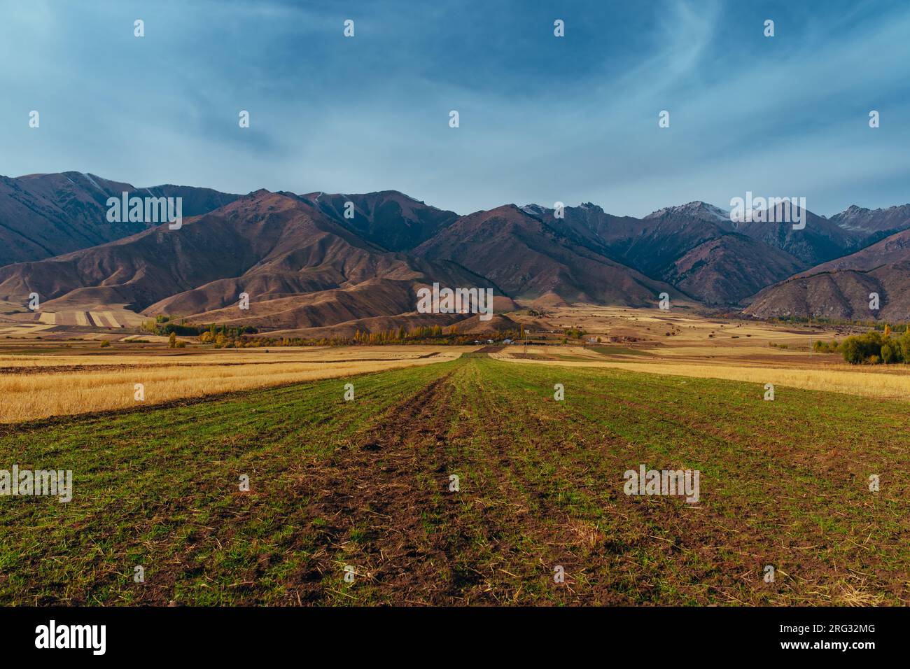 Herbstlandschaft mit gebirgischem Hintergrund, Kirgisistan Stockfoto