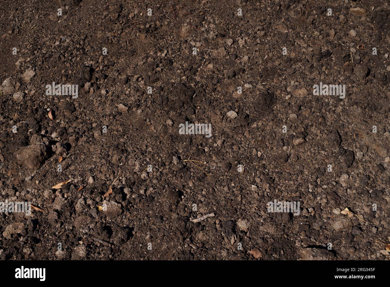 Bodentextur close-up Stockfoto