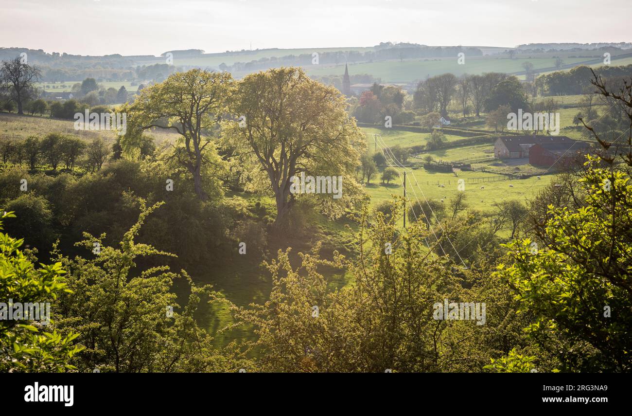 Ein Blick aus den Wäldern in der Nähe des Dorfes Warter, East Yorkshire, Großbritannien Stockfoto