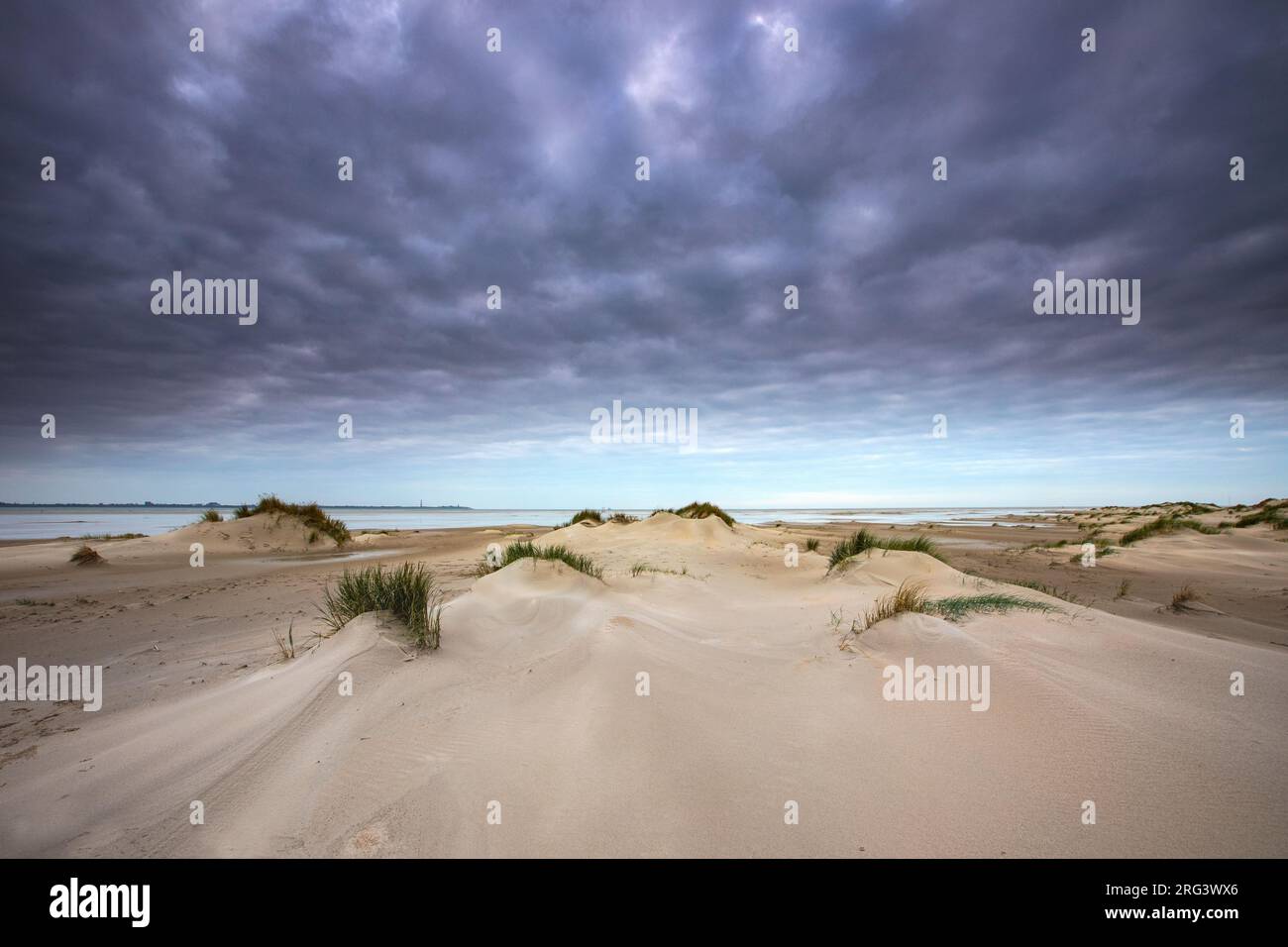 Eine embryonale Düne Stockfoto