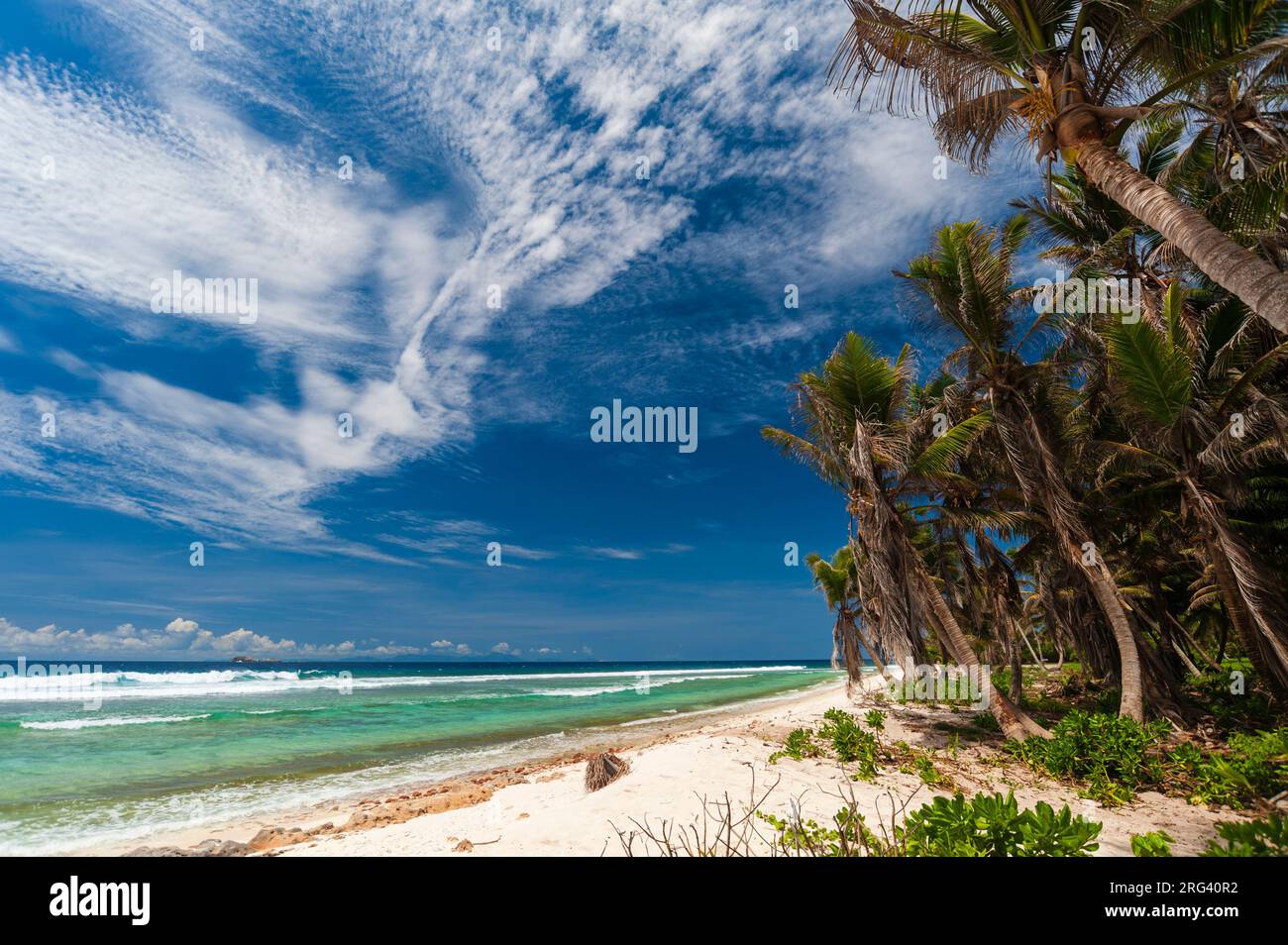 Der tropische, sandige, von Palmen gesäumte Strand von Grand Anse. Grand Anse Beach, Fregate Island, Republik der Seychellen. Stockfoto
