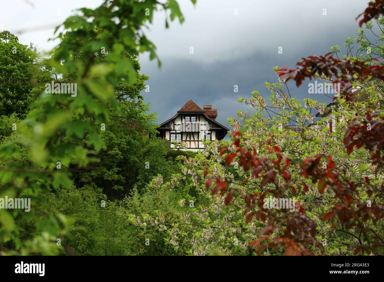 Typisches Schweizer Chalet-Design, eingebettet in den Wald mit nebligen Wolken dahinter. Konzept für Versteck, Flucht, Haus im Wald, Mt Living Stockfoto