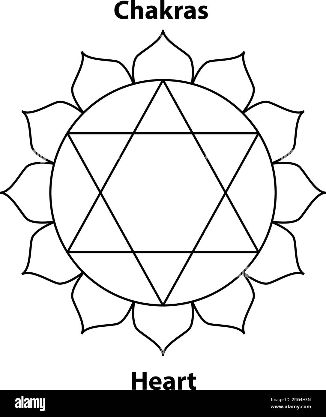 Herz Chakras. Darstellung des Hinduismus und Buddhismus. Yoga-Chakra-Symbole sind auf Weiß isoliert. Für Design, verbunden mit Yoga. Stock Vektor