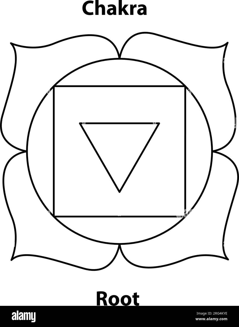 Wurzel Chakra. Darstellung des Hinduismus und Buddhismus. Yoga-Chakra-Symbole sind auf Weiß isoliert. Für Design, verbunden mit Yoga. Stock Vektor