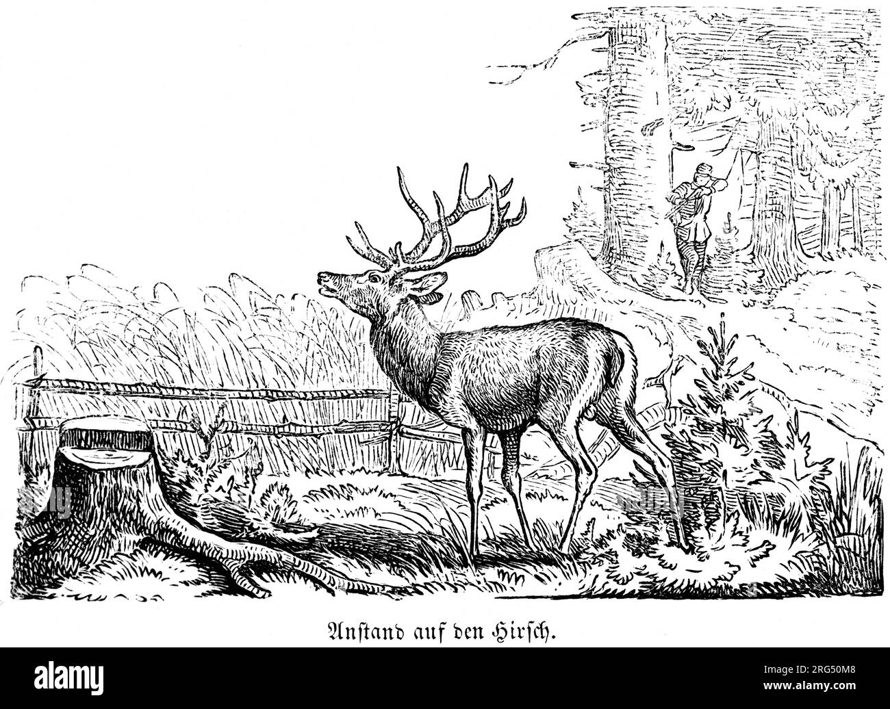 Erhöhtes Versteck für die Aufnahme des Hirschs, Anstand auf den Hirsch, wilde Tiere und Jagdszenen, historische Illustration about1860 Stockfoto
