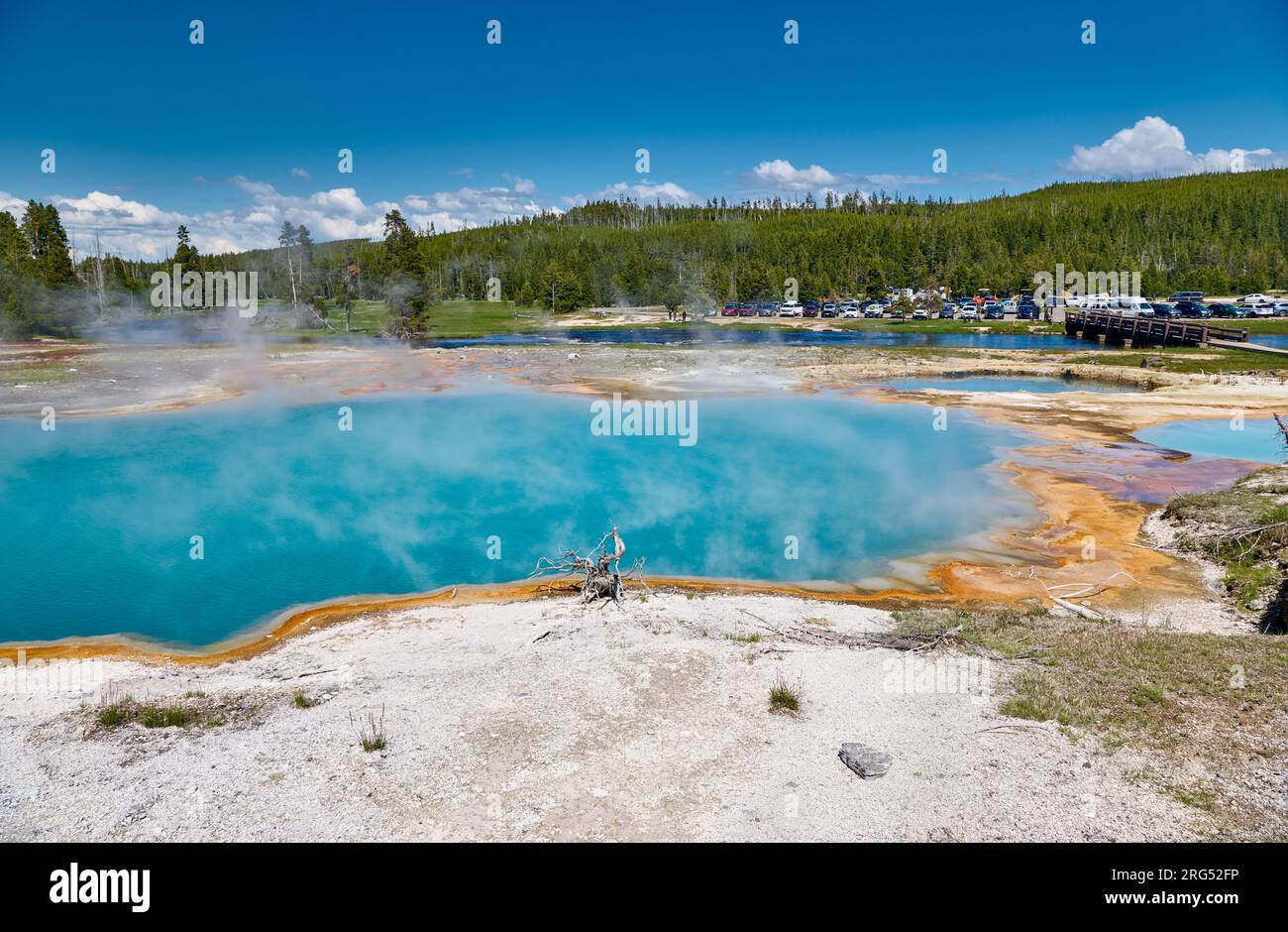 Black Diamond Pool, Biscuit Basin, Yellowstone-Nationalpark, Wyoming, Vereinigte Staaten von Amerika Stockfoto