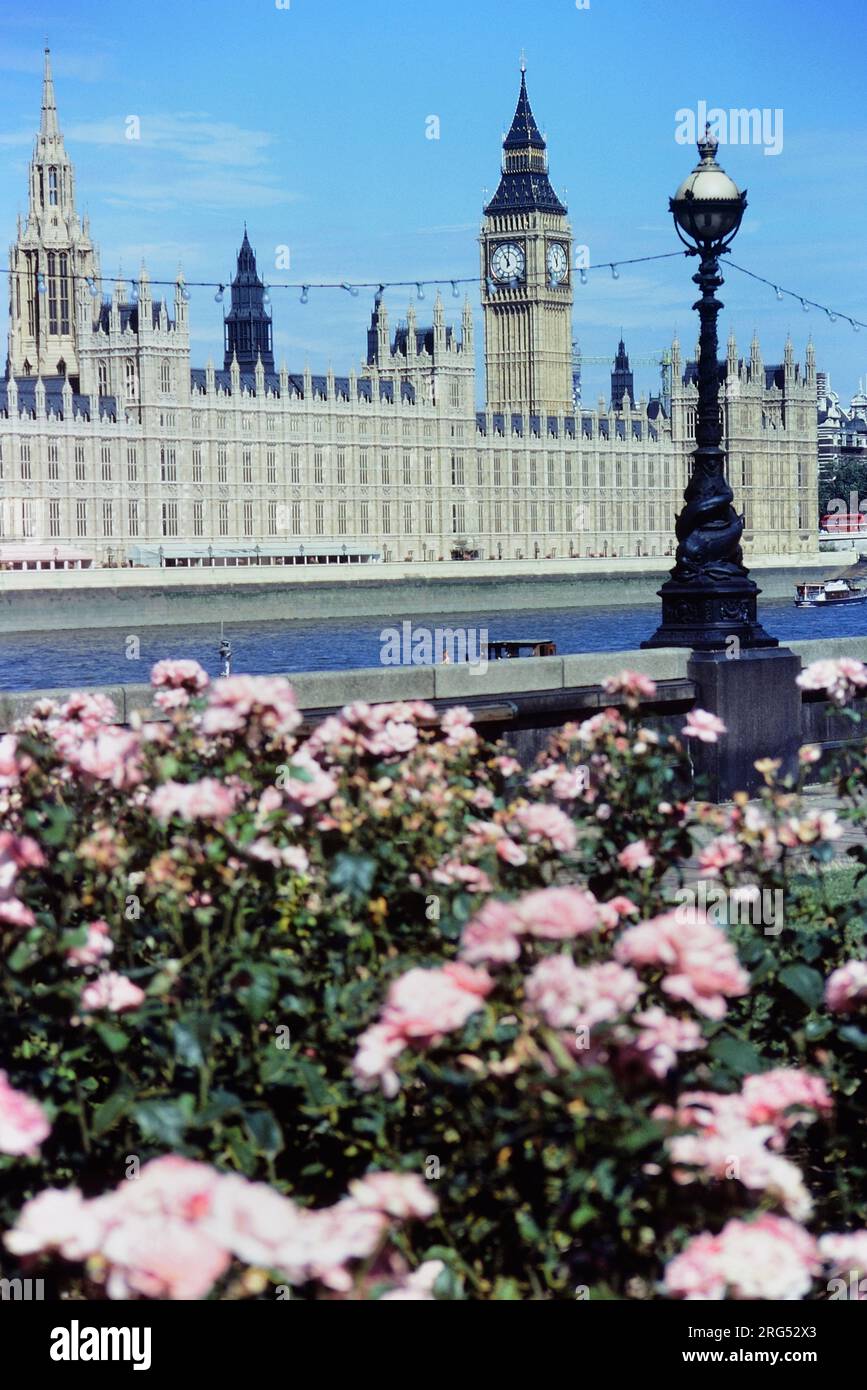 Big Ben, Parlamentsgebäude vom Ufer aus gesehen. London, England, Großbritannien Stockfoto