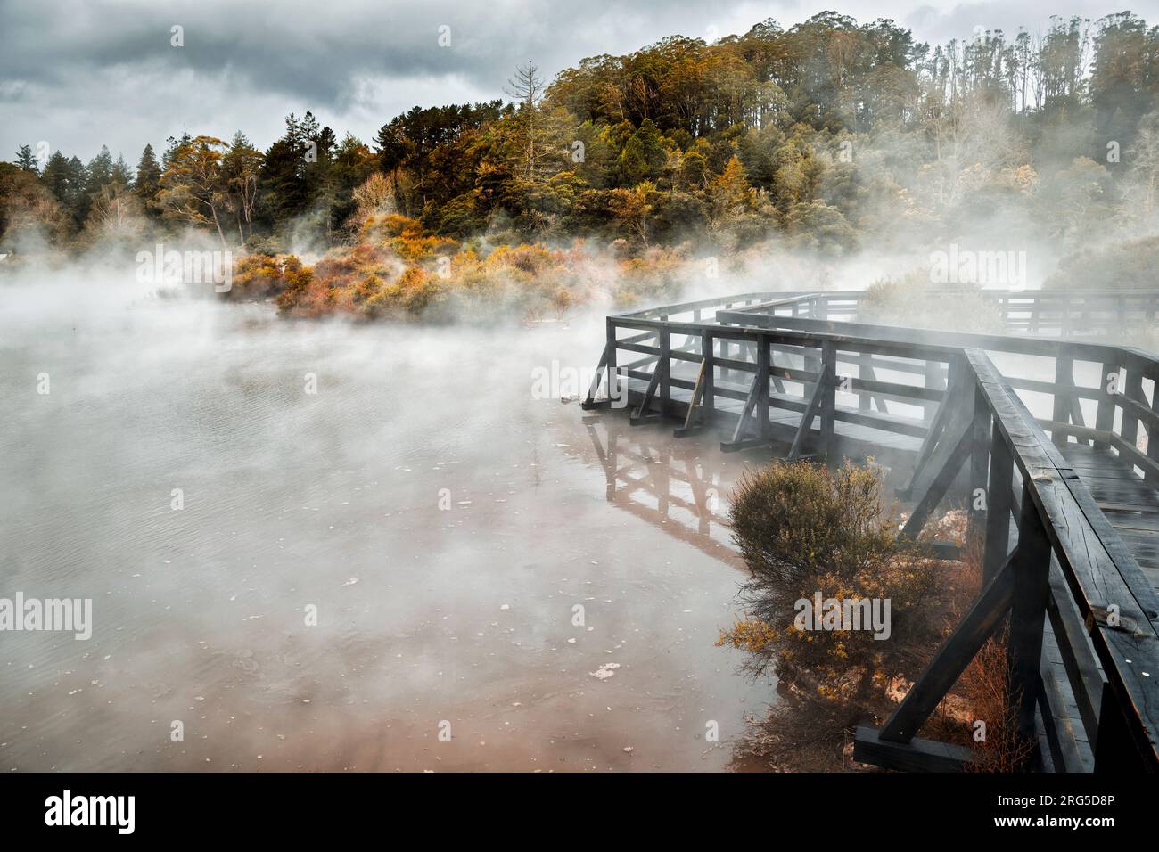 Rotorua. Neuseeland. Whakarewarewa, das lebende Maori-Dorf. Geothermische Wanderwege. Stockfoto