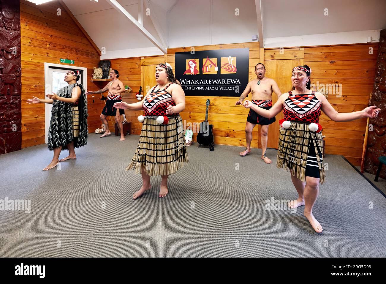 Rotorua. Neuseeland. Haka traditioneller Tanz im Whakarewarewa Living Maori Village Stockfoto