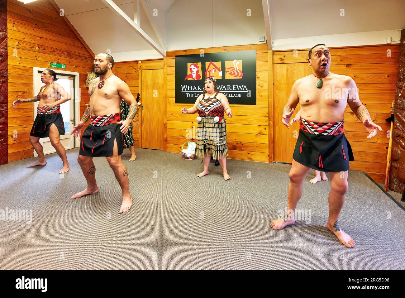 Rotorua. Neuseeland. Haka traditioneller Tanz im Whakarewarewa Living Maori Village Stockfoto