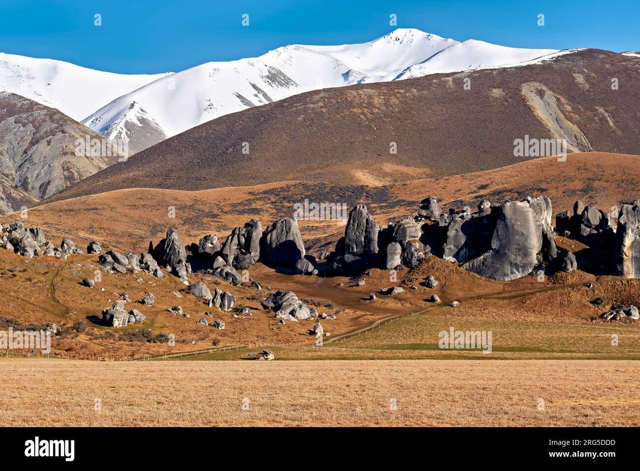 Neuseeland. Südliche Alpen. Burghügel Stockfoto