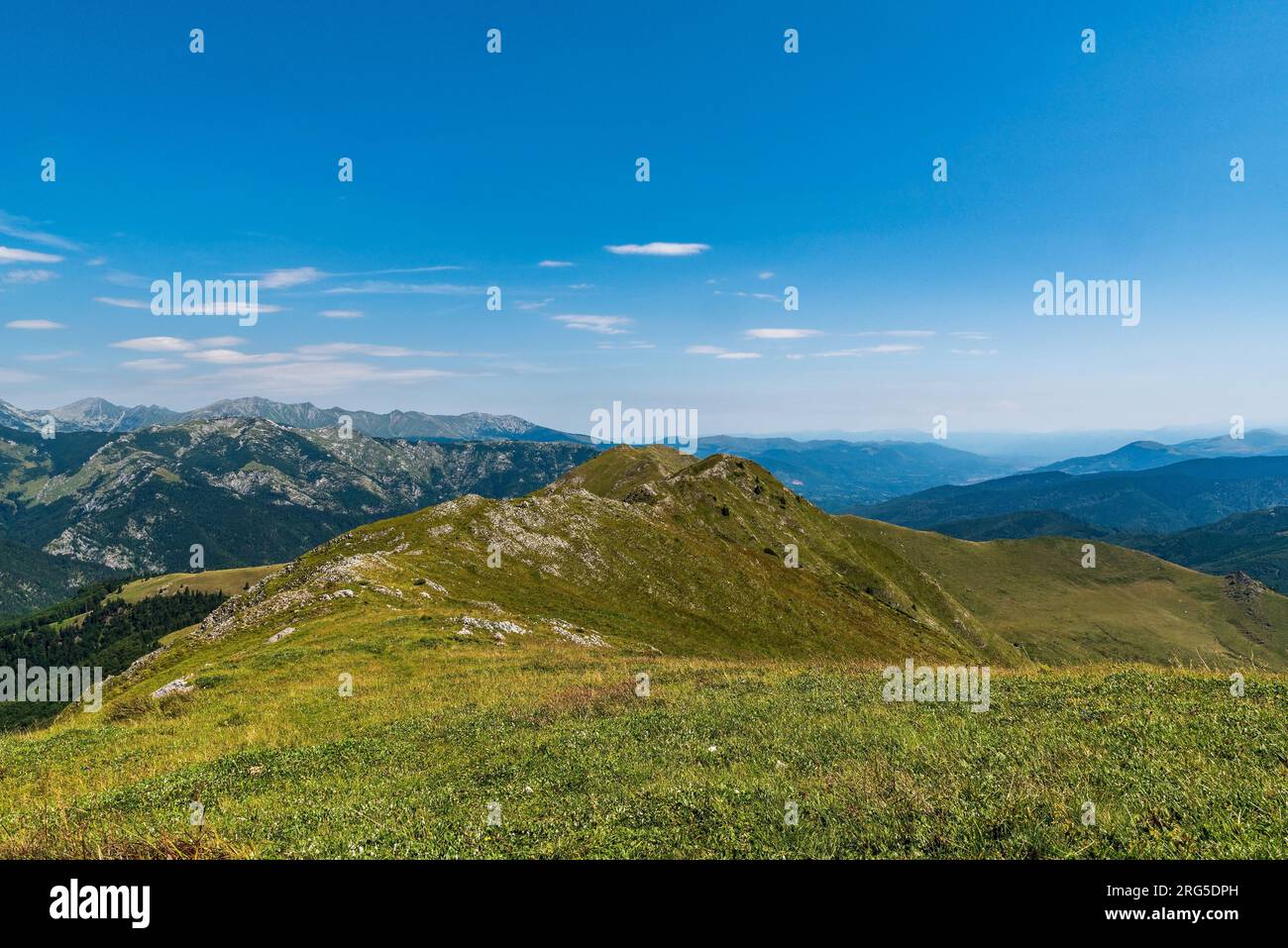 Blick von Varful Oslea - der höchste Hügel des Valcan-Gebirges in Rumänien an einem wunderschönen Sommertag Stockfoto