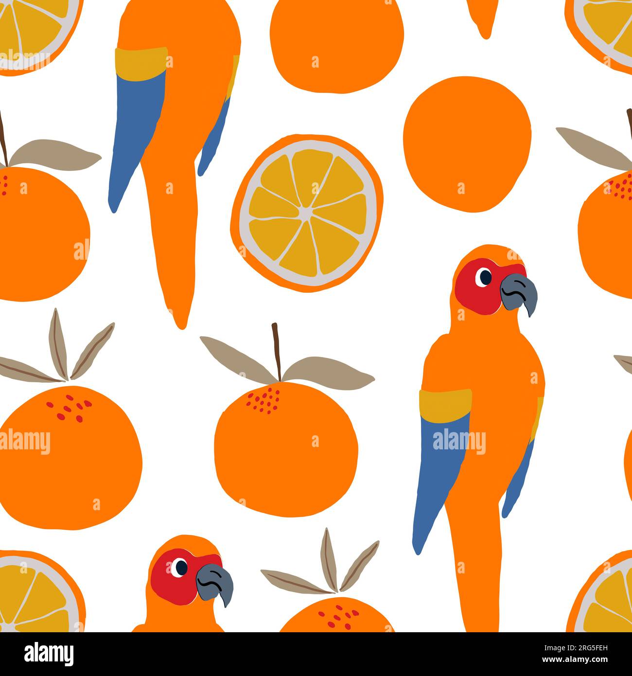 Muster von Papageien und Orangen auf weißem Hintergrund. Tropisches Muster. Vektordarstellung Stock Vektor