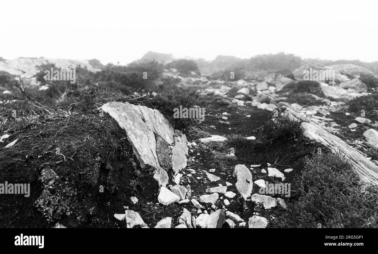 In den Wolken auf Diamond Hill in Irland Stockfoto